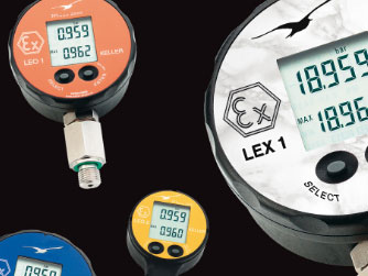 Đồng hồ đo áp suất hiển thị điển tử LEO1